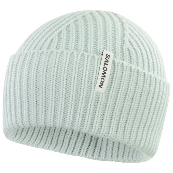 Salomon - Snowbird Beanie - Mütze Gr One Size grau von Salomon