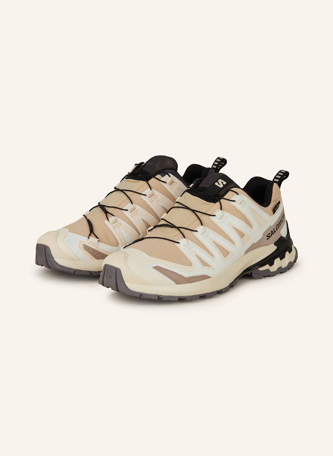 Salomon Wanderschuhe Xa Pro 3d v9 Gtx beige von Salomon