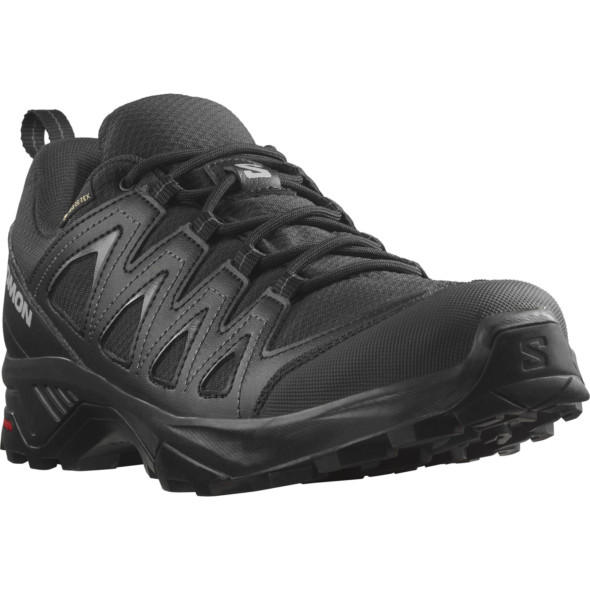 Salomon Wanderschuh »X BRAZE GORE-TEX®«, wasserdicht von Salomon