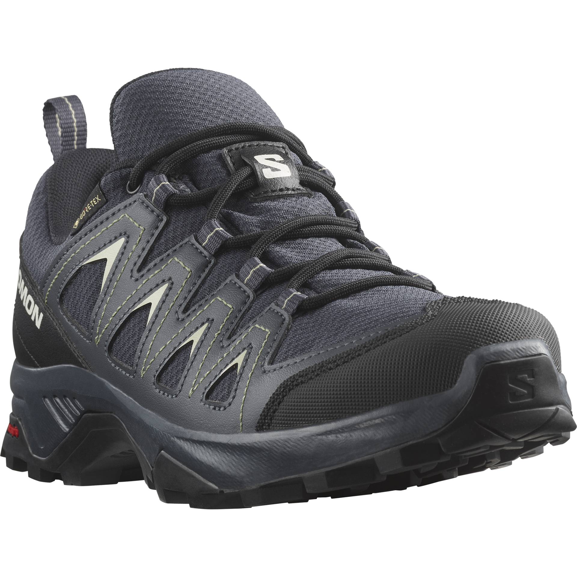 Salomon Wanderschuh »X BRAZE GORE-TEX«, wasserdicht von Salomon