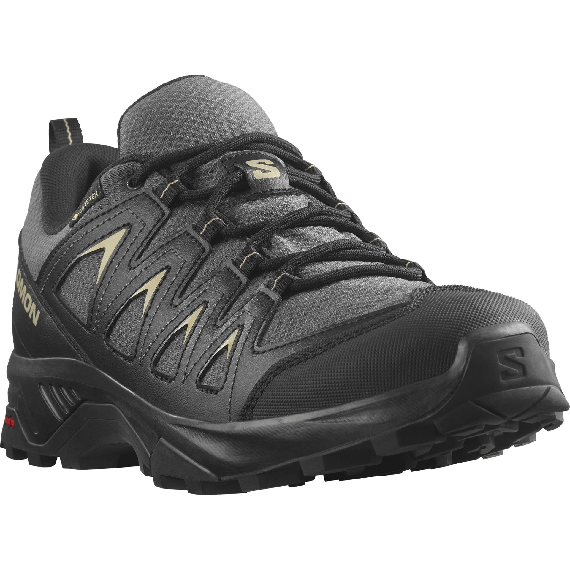 Salomon Wanderschuh »X BRAZE GORE-TEX«, wasserdicht von Salomon