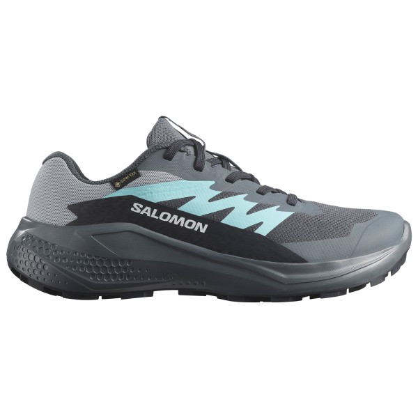 Salomon - Women's Alphaglide GORE-TEX - Trailrunningschuhe Gr 6 grau von Salomon