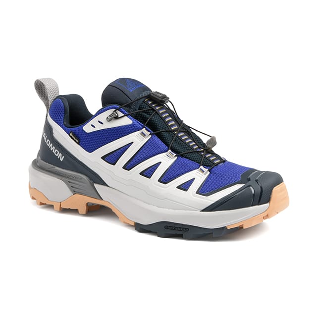 Salomon X ULTRA 360 EDGE  GTX-11 46 von Salomon