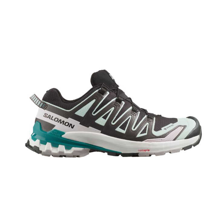 Salomon XA Pro 3D V9 GTX Multifunktionsschuh für Damen anthrazit Salomon XA Pro 3D V9 GTX Multifunktionsschuh für Damen anthrazit von Salomon