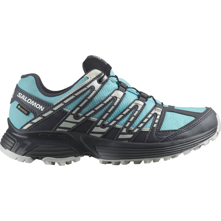 Salomon XT Reckon GTX Multifunktionsschuhe blau von Salomon