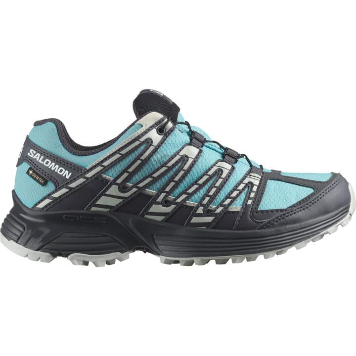 Salomon XT Reckon GTX Multifunktionsschuhe blau Salomon XT Reckon GTX Multifunktionsschuhe blau von Salomon