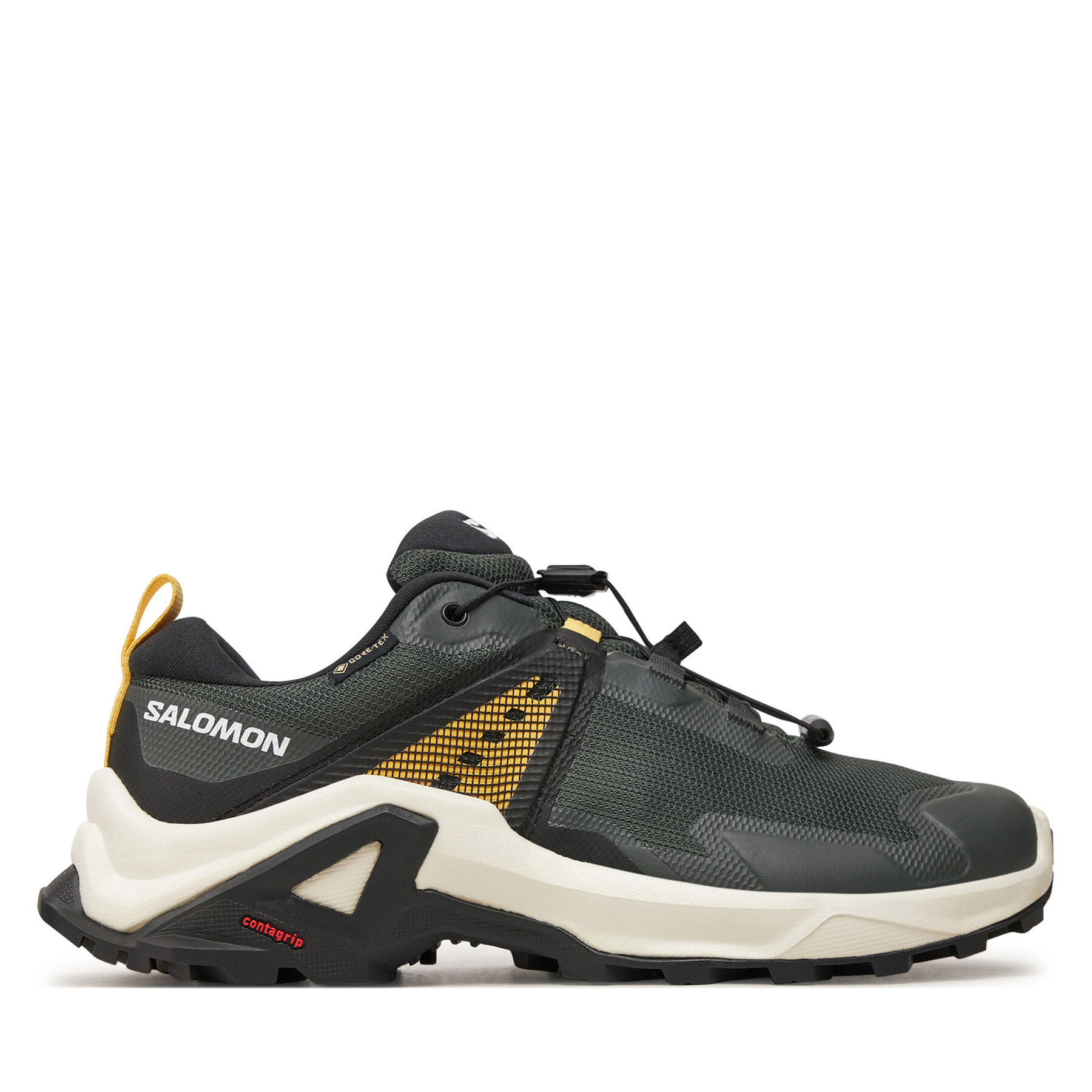 Trekkingschuhe Salomon X Raise Gore-Tex L47458200 Grün Trekkingschuhe Salomon X Raise Gore-Tex L47458200 Grün von Salomon