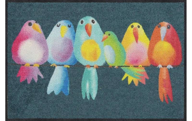 Salonloewe Fussmatte »Rainbow Birds Fussmatte«, quadratisch, - mm Höhe von Salonloewe