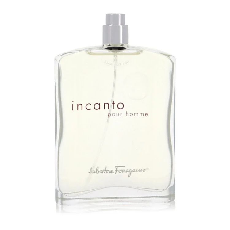 Incanto Pour Homme by Salvatore Ferragamo Eau de Toilette 100ml von Salvatore Ferragamo