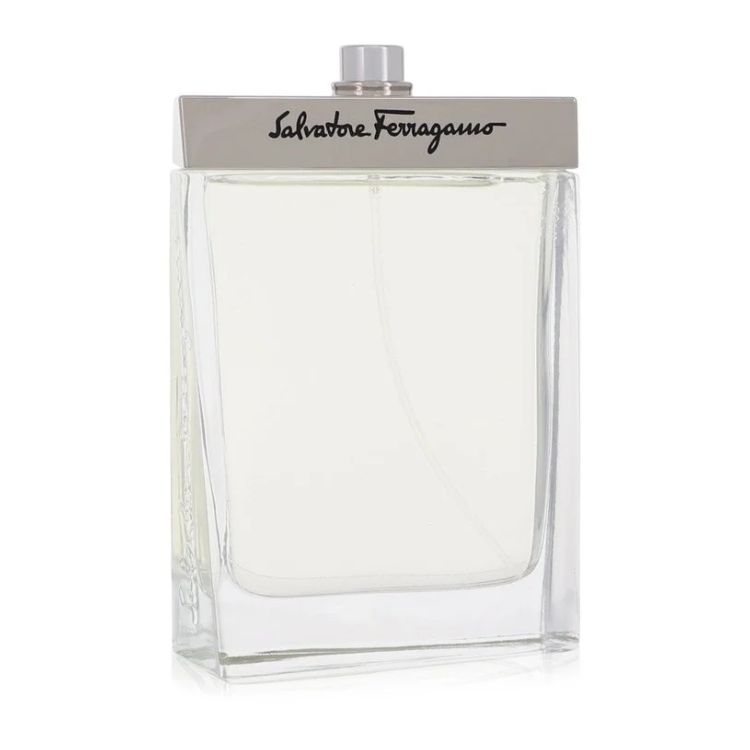 Pour Homme by Salvatore Ferragamo Eau de Toilette 100ml von Salvatore Ferragamo