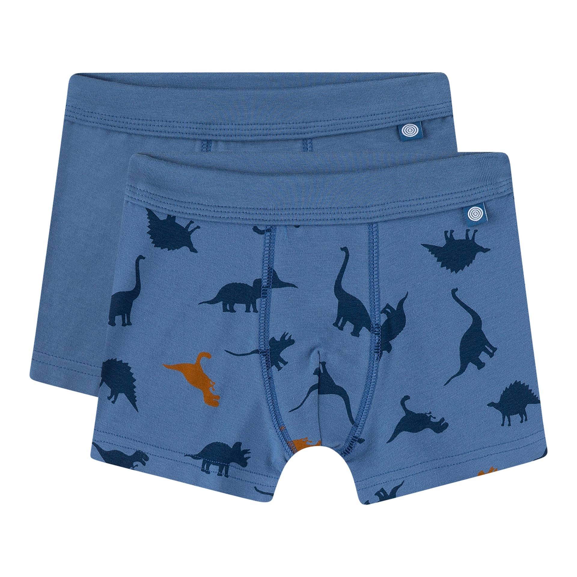 2er-Pack Boxershorts Dinos von Sanetta