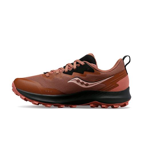 Saucony Laufschuh Peregrine 14 Gtx - clove/black (Grösse: 36) von Saucony