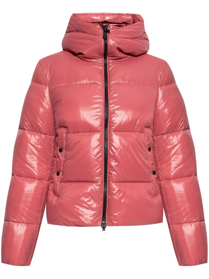 Save The Duck Biddy puffer jacket - Pink von Save The Duck