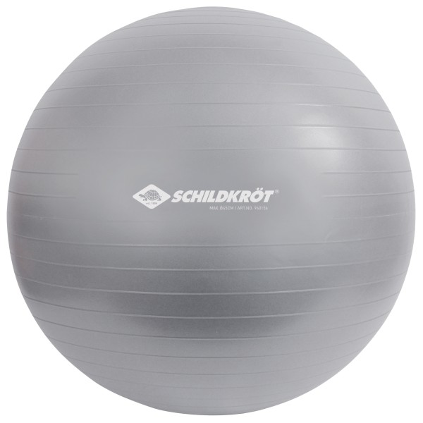 Schildkröt Fitness - Gymnastikball - Functional Training Gr 65 cm grau von Schildkröt Fitness