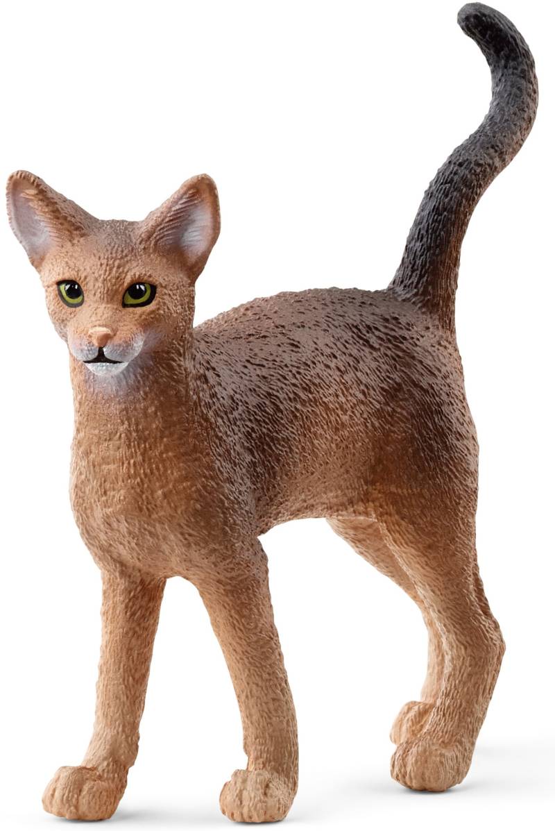 Schleich® Spielfigur »FARM WORLD, Abessinierkatze (13964)« von Schleich®