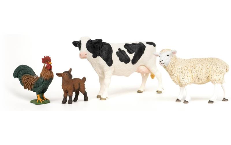 Schleich® Spielfigur »Farm World Bauernhof Starter-Set« von Schleich®