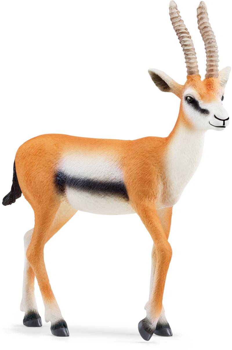 Schleich® Spielfigur »WILD LIFE, Thomson Gazelle (14861)« von Schleich®