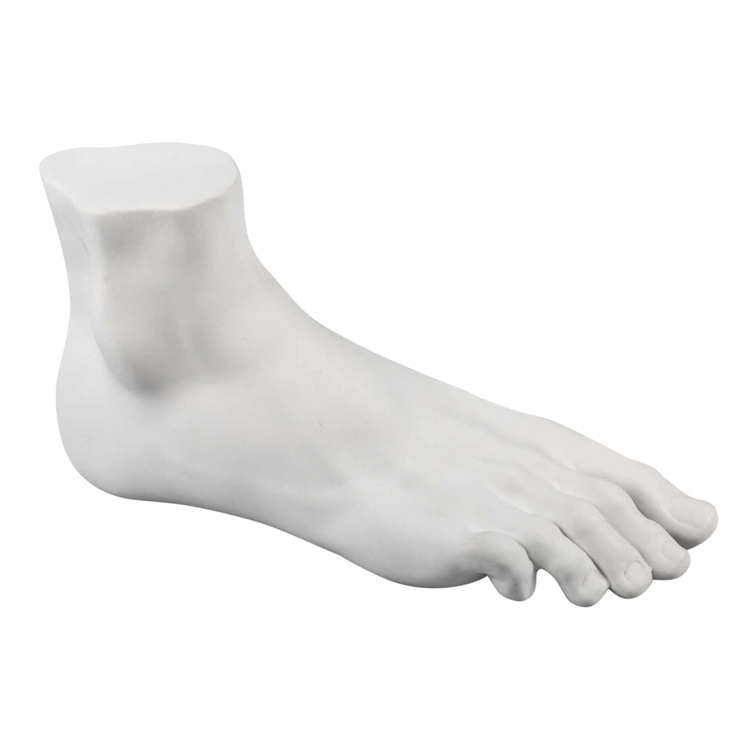 Memorabilia Museum Male Foot Skulptur von Seletti