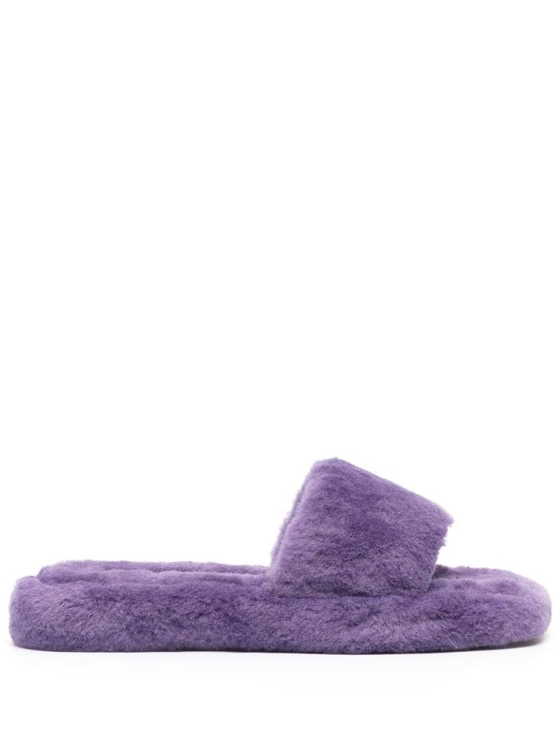 Senso Bentley II slides - Purple von Senso