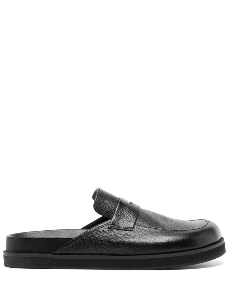 Senso Zayn II round-toe mules - Black von Senso