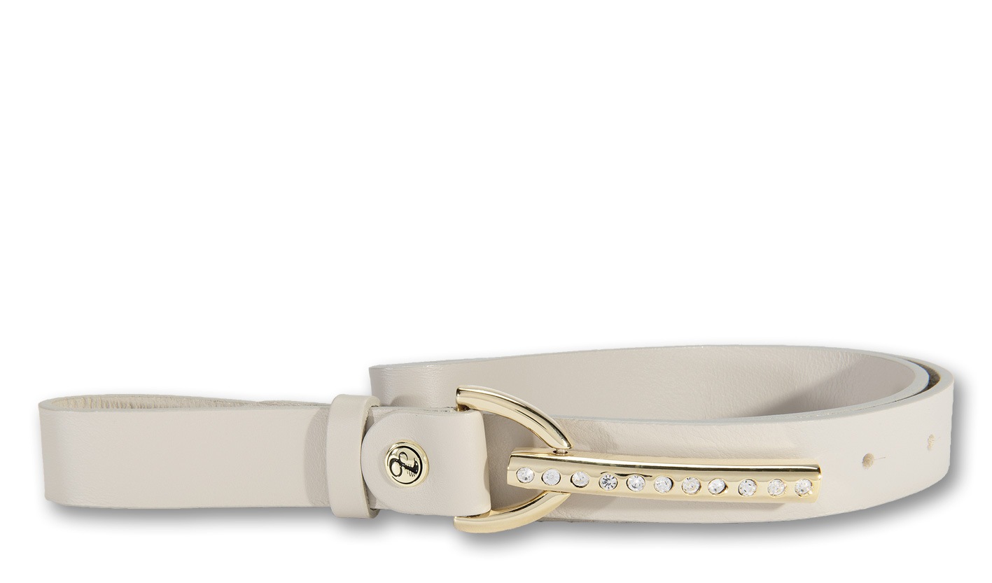 Silberfarbengift Ledergürtel, goldfarbene Schliesse mit funkelndem Strass Silberfarbengift Ledergürtel, goldfarbene Schliesse mit funkelndem Strass von Silbergift