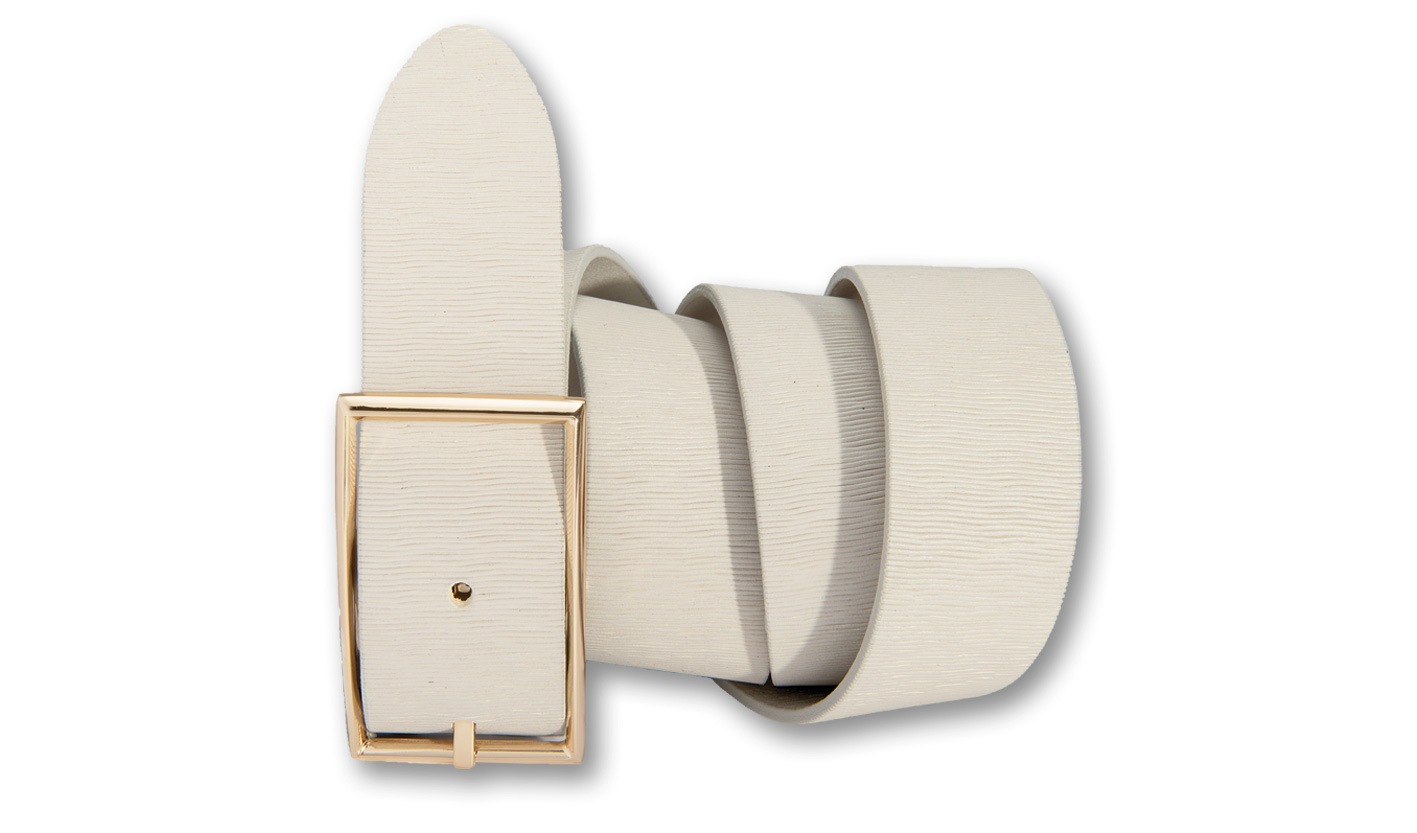 Silberfarbengift Ledergürtel, schraffiert mit graziler Goldfarbenschliesse Silberfarbengift Ledergürtel, schraffiert mit graziler Goldfarbenschliesse von Silbergift