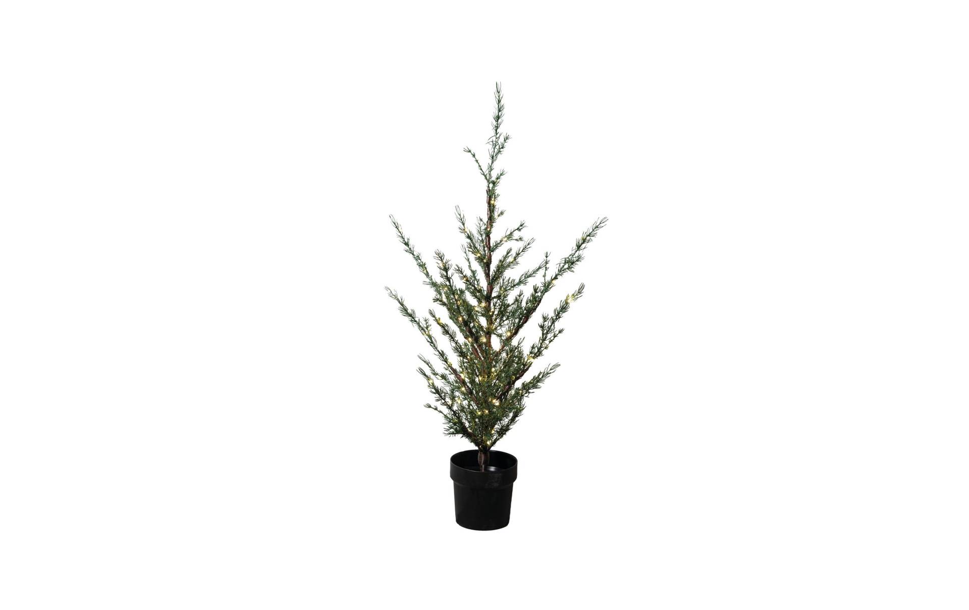 Sirius Künstlicher Weihnachtsbaum »LED Baum Milas, 150 LED« Sirius Künstlicher Weihnachtsbaum »LED Baum Milas, 150 LED« von Sirius