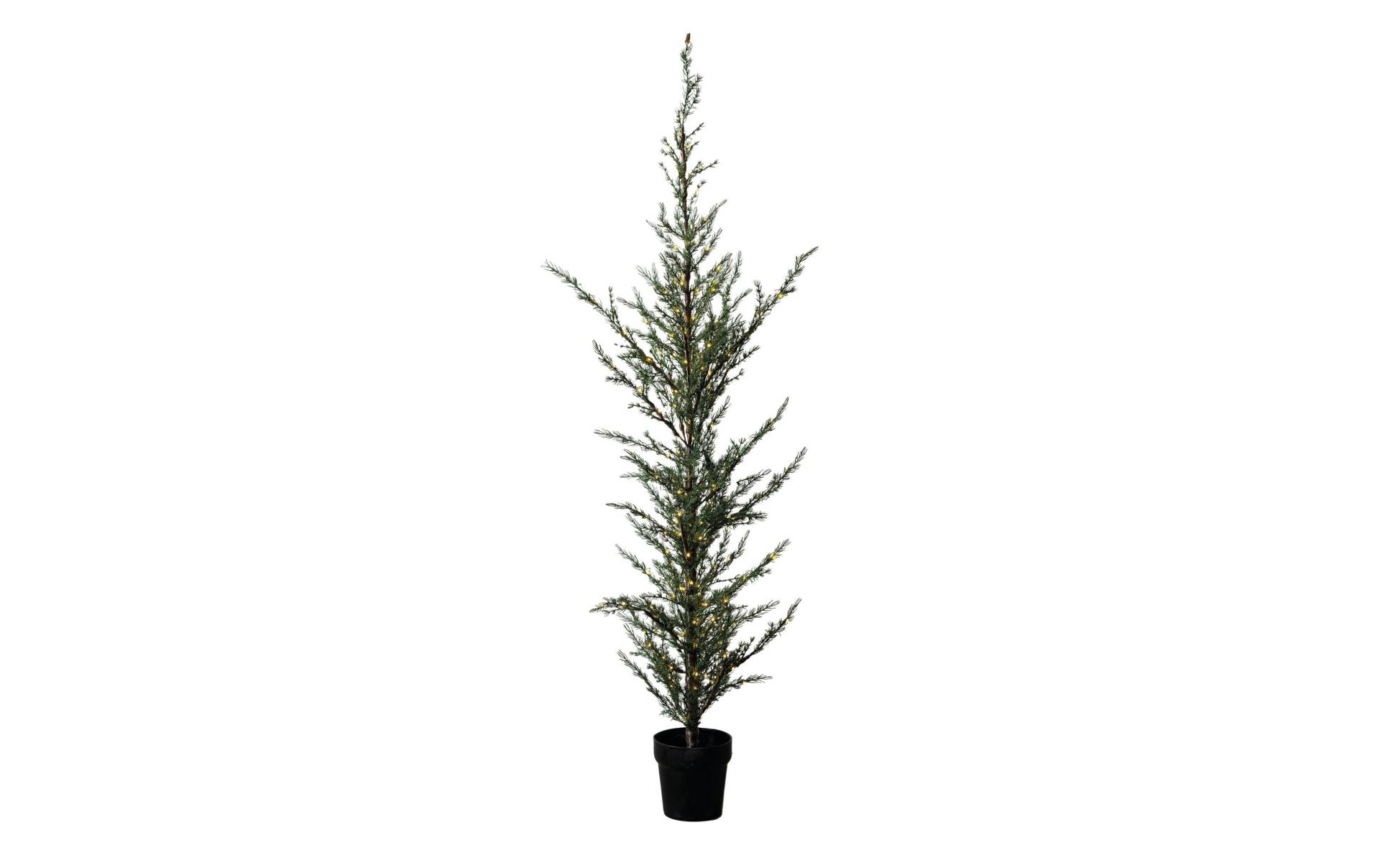 Sirius Künstlicher Weihnachtsbaum »LED Baum Milas, 180 LED« Sirius Künstlicher Weihnachtsbaum »LED Baum Milas, 180 LED« von Sirius