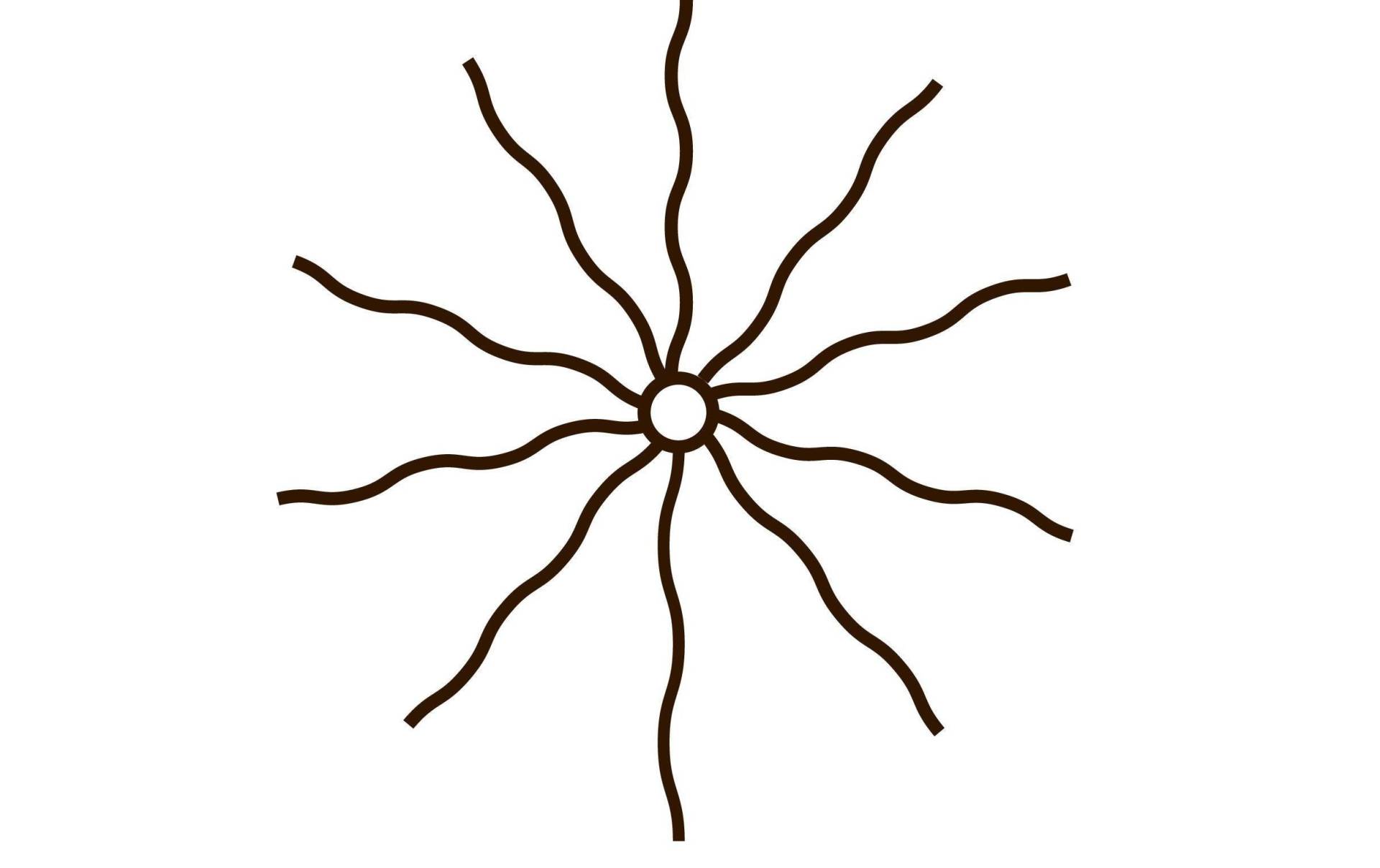 Sirius LED Dekolicht »Weihnachtsbaum Lichterkette Knirke«, 195 flammig Sirius LED Dekolicht »Weihnachtsbaum Lichterkette Knirke«, 195 flammig von Sirius