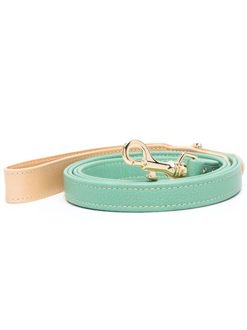 Sporty & Rich leather pet lead - Green von Sporty & Rich