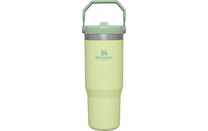 STANLEY Thermobecher »IceFlow Flip Straw Tumbler 890 ml« von Stanley