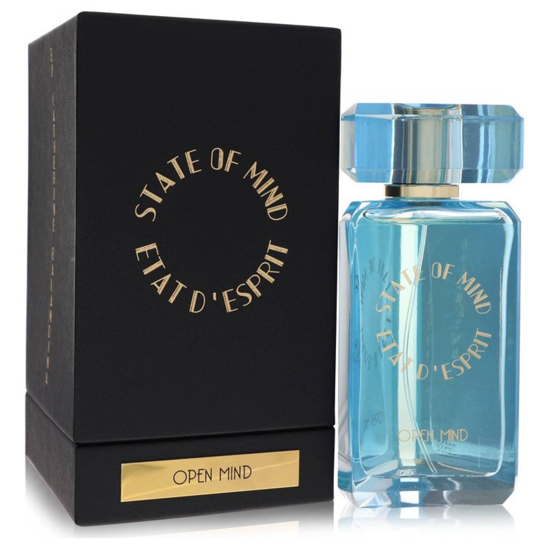 State Of Mind Open Mind Eau De Parfum Spray (Unisex) 101 ml von State Of Mind