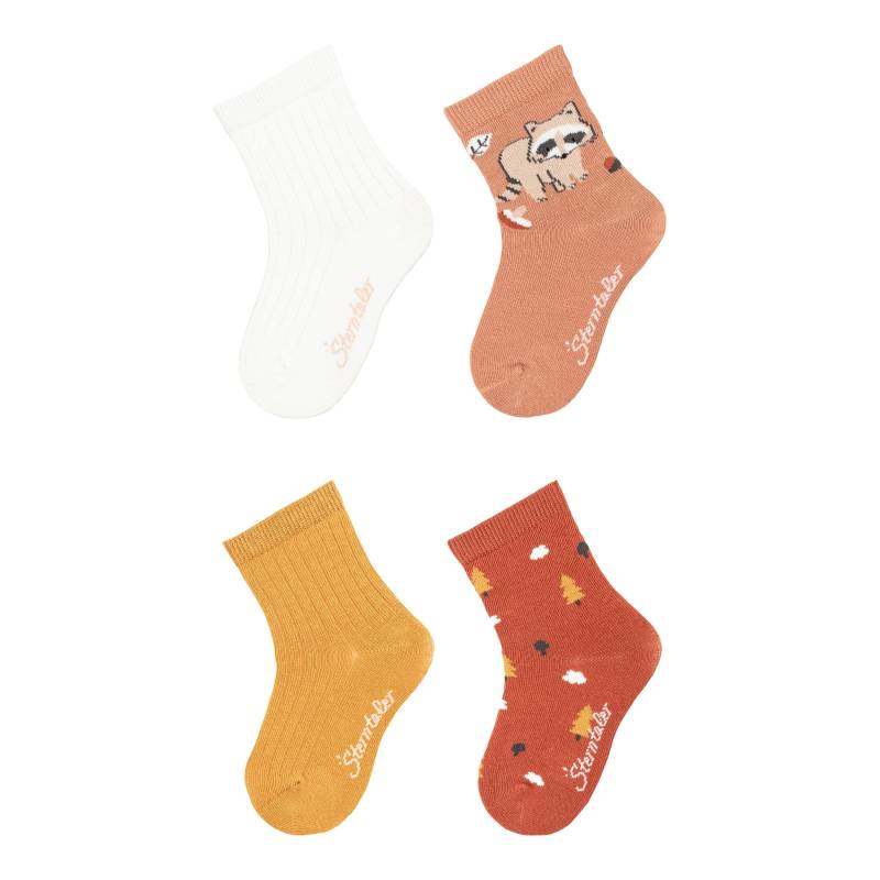 4er-Pack Socken Waschbär Rippqualität von Sterntaler