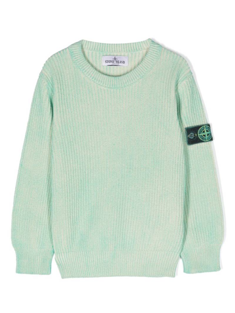 Stone Island Junior Compass-badge ribbed jumper - Green von Stone Island Junior