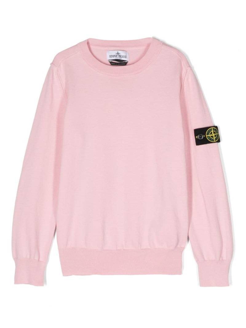 Stone Island Junior Compass cotton jumper - Pink von Stone Island Junior