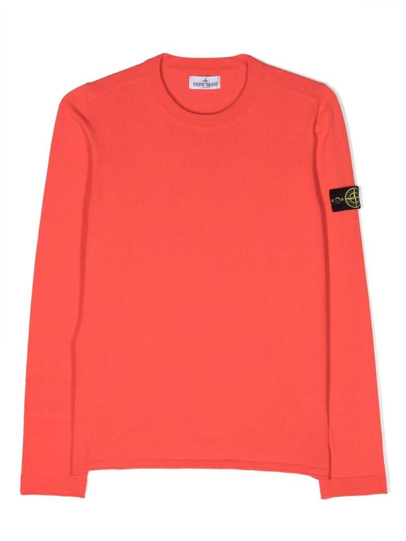 Stone Island Junior logo-patch cotton jumper - Red von Stone Island Junior