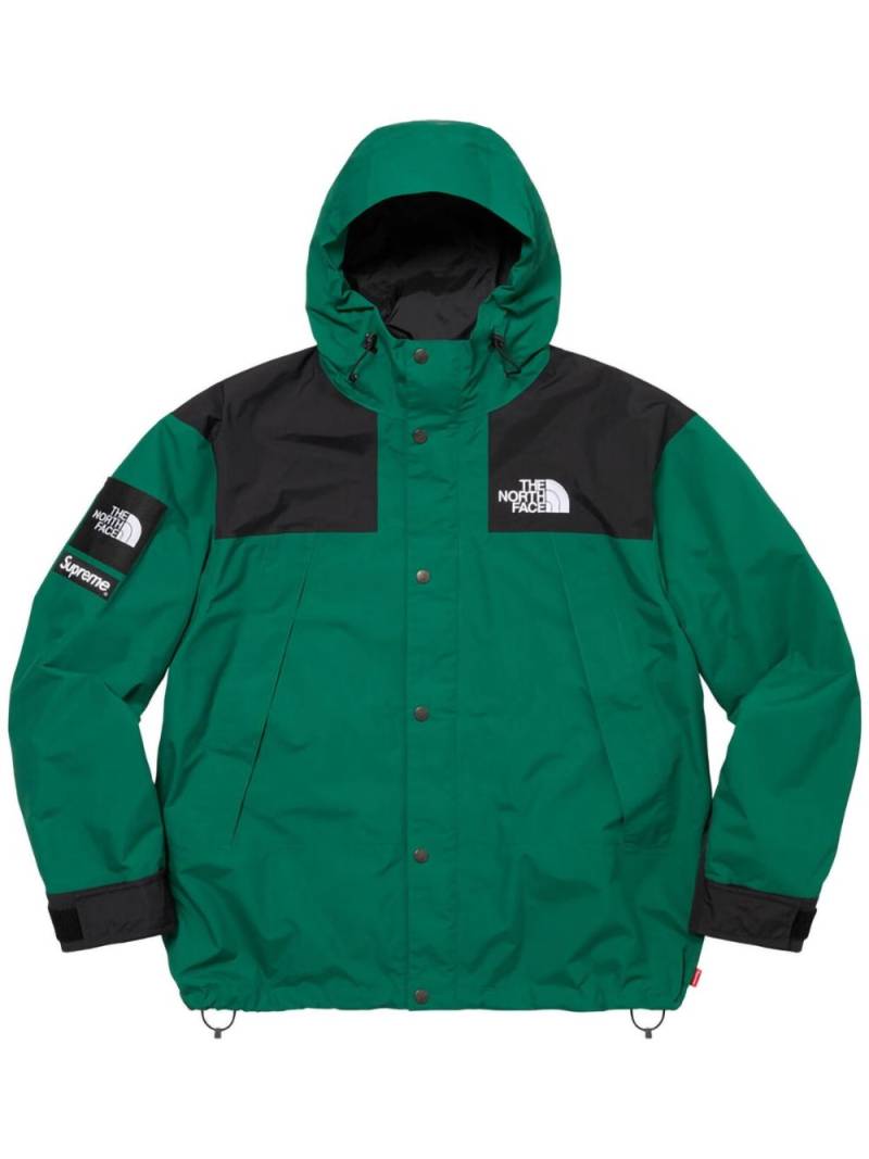 Supreme x The North Face mountain jacket - Green von Supreme