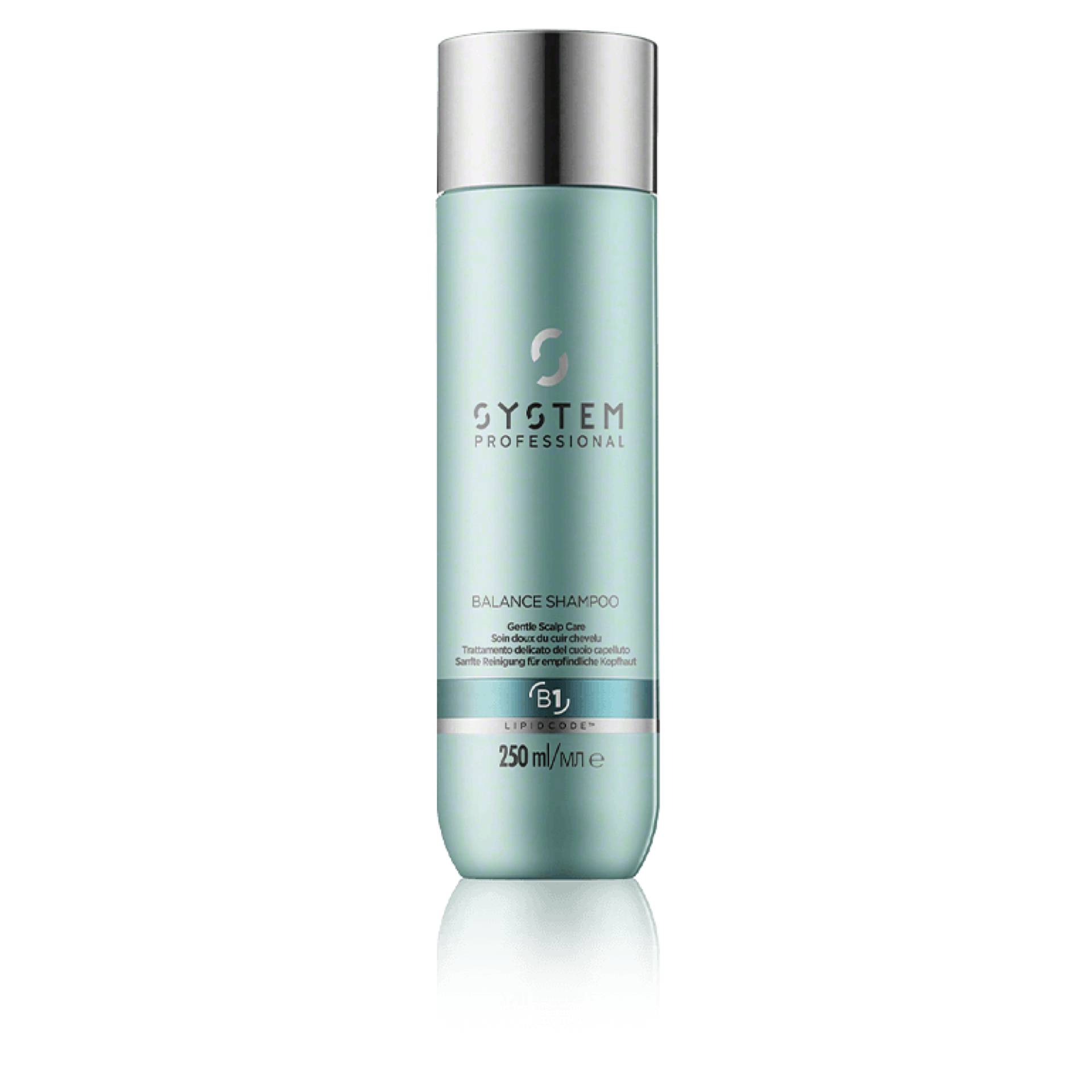 System Professional B1 Balance Shampoo 250ml System Professional B1 Balance Shampoo 250ml von System Professional