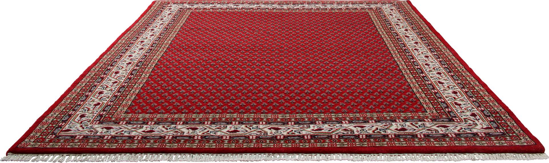 THEKO Orientteppich »Chandi Mir«, rechteckig, 12 mm Höhe, reine Wolle, handgeknüpft, mit Fransen THEKO Orientteppich »Chandi Mir«, rechteckig, 12 mm Höhe, reine Wolle, handgeknüpft, mit Fransen von THEKO
