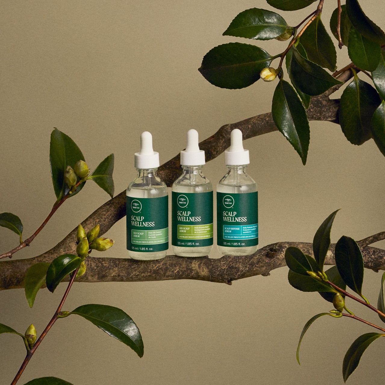 Tea Tree Scalp Wellness - Dry Scalp Serum von Tea Tree