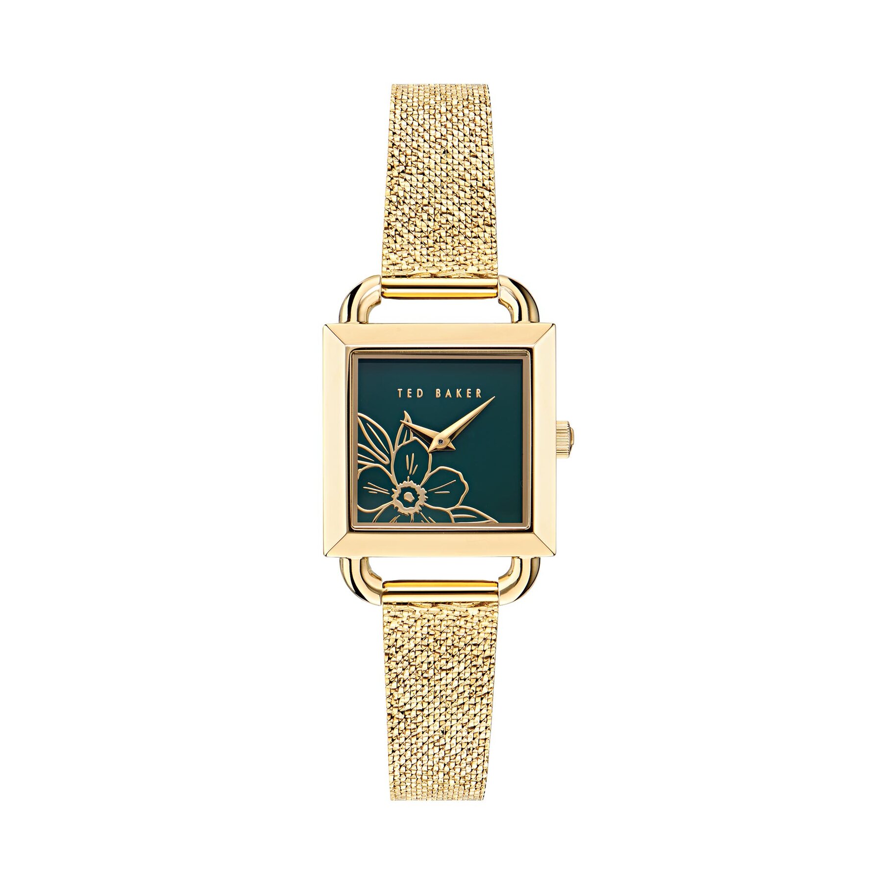 Uhr Ted Baker BKPTAS407 Goldfarben von Ted Baker