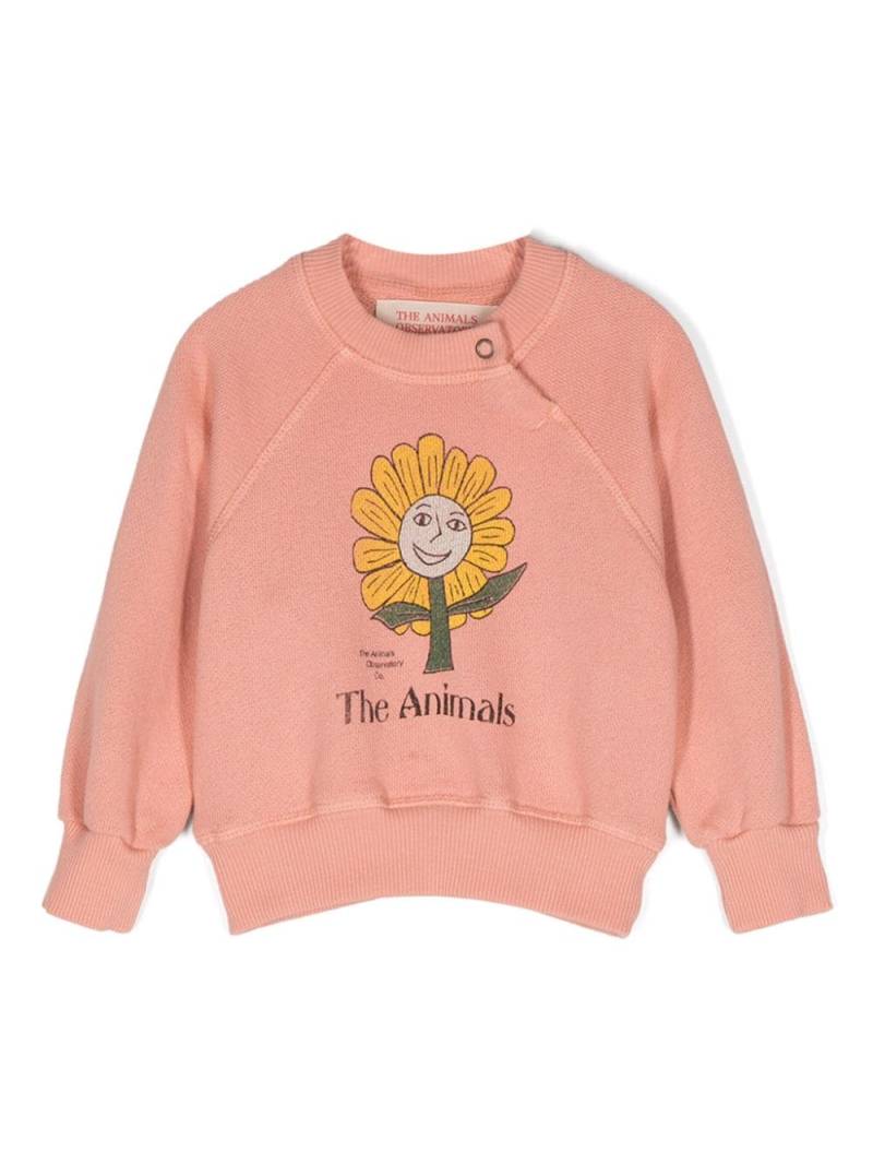 The Animals Observatory Shark cotton sweatshirt - Pink von The Animals Observatory