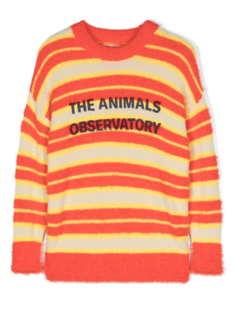 The Animals Observatory The Stripes Bull brushed jumper - Orange von The Animals Observatory