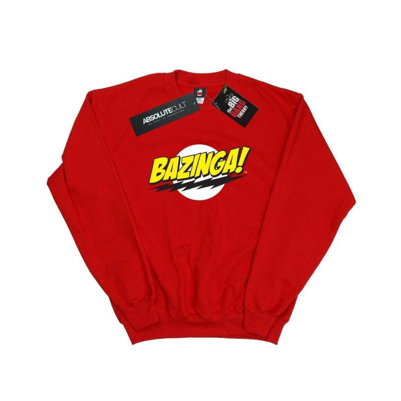 Bazinga Sweatshirt Herren Rot Bunt 3XL von The Big Bang Theory