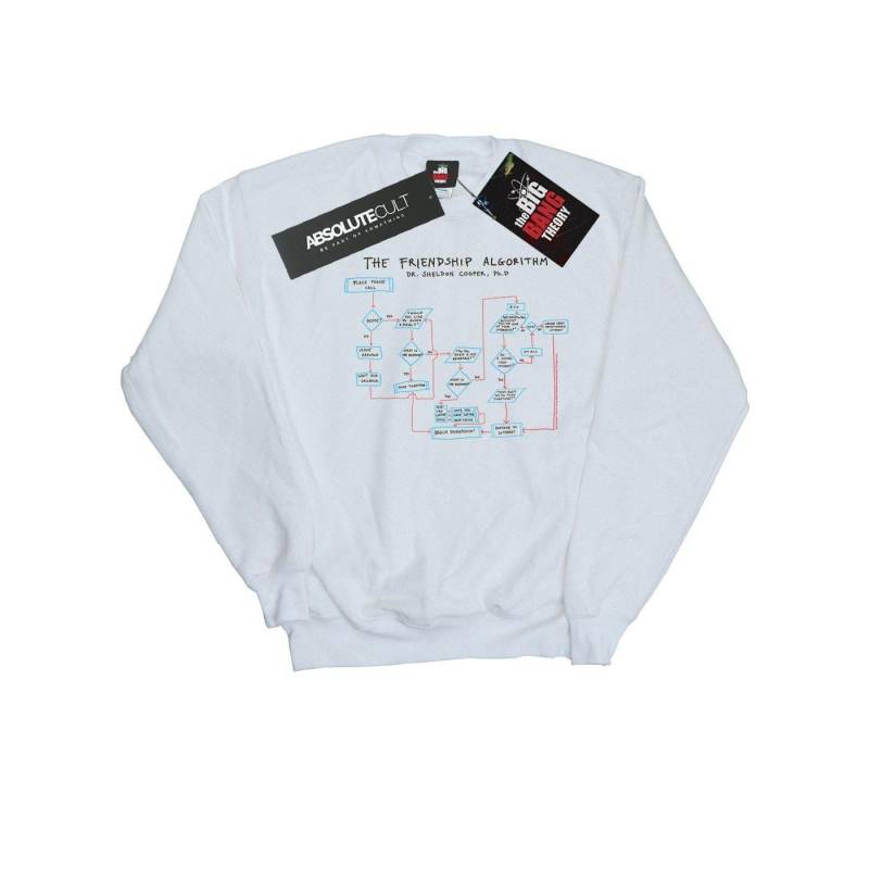 Friendship Algorithm Sweatshirt Herren Weiss 4XL von The Big Bang Theory