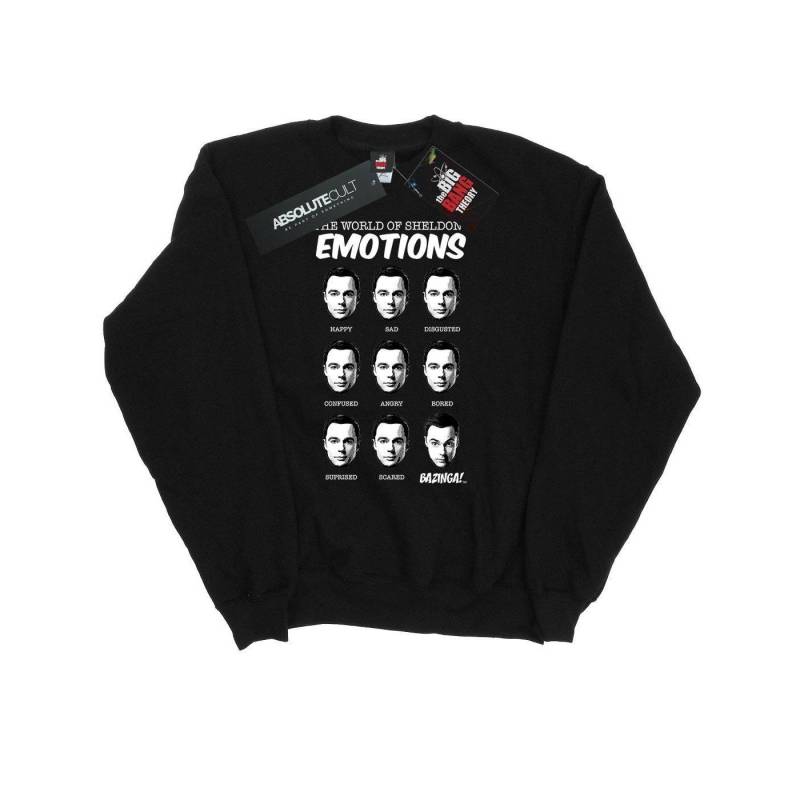 The Big Bang Theory - Sweatshirt, für Herren, Schwarz, Größe 3XL von The Big Bang Theory