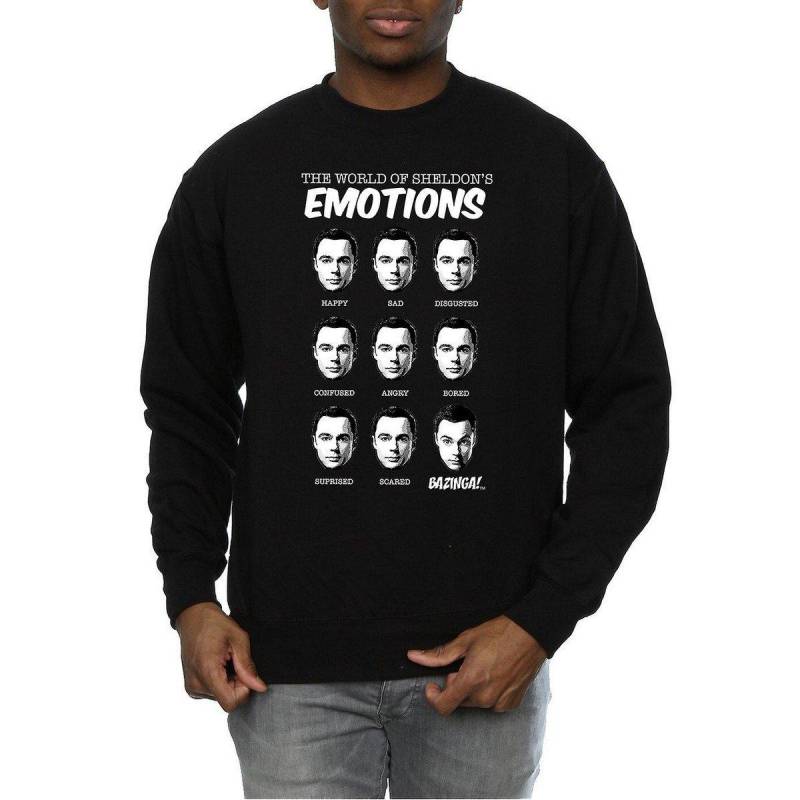 Sweatshirt Herren Schwarz L von The Big Bang Theory