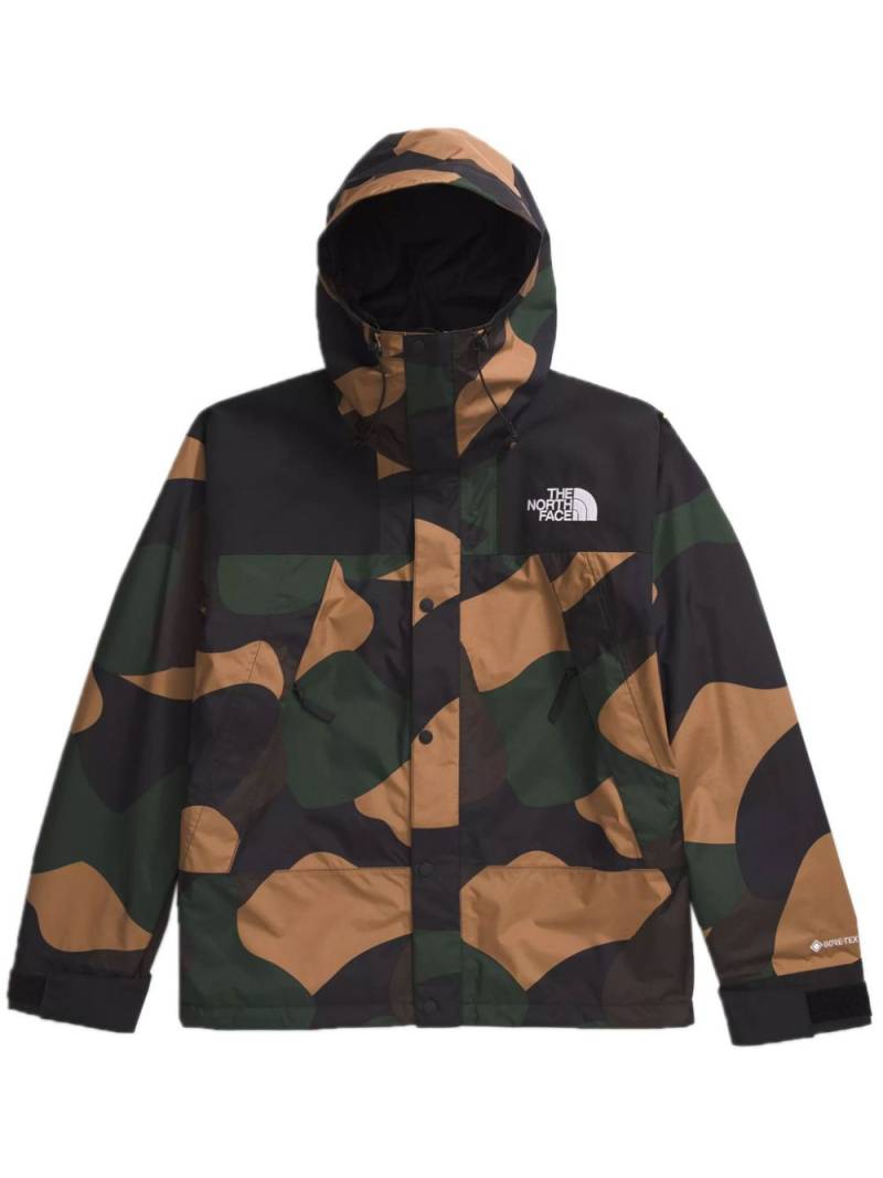 The North Face Gore-tex Mountain jacket - Green von The North Face