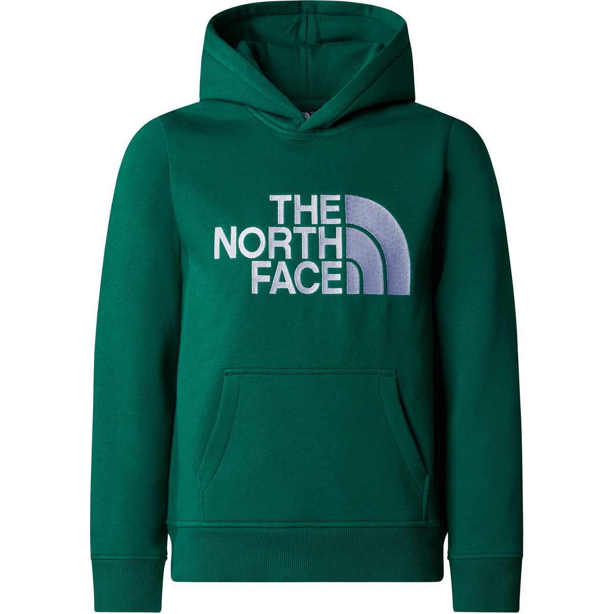 The North Face Kinder Boys Drew Peak Hoodie The North Face Kinder Boys Drew Peak Hoodie von The North Face