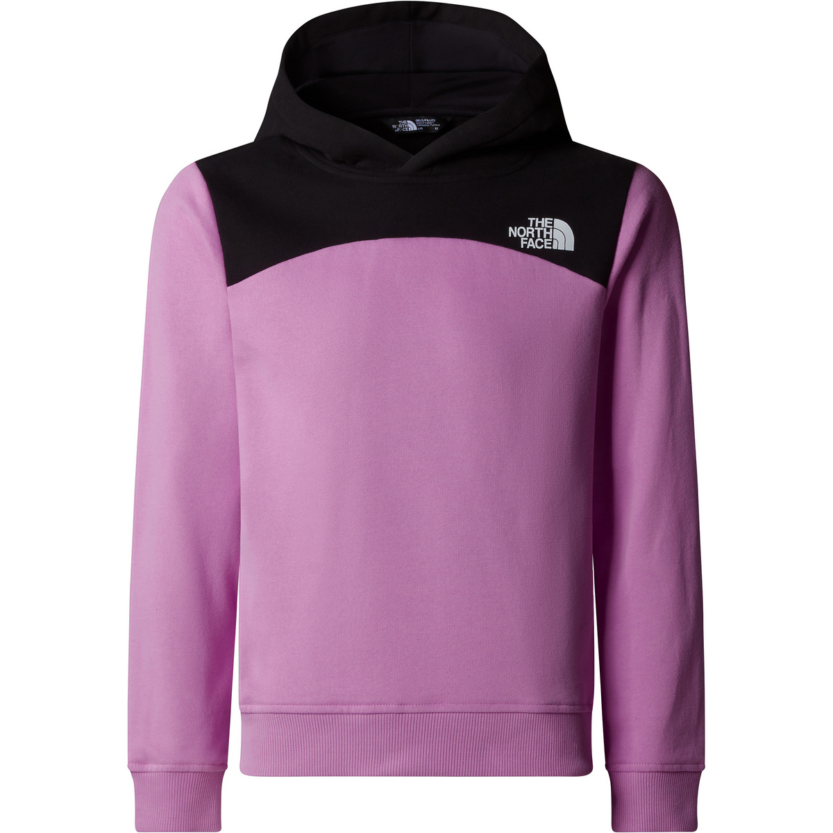 The North Face Kinder Girls Back Logo Relaxed Hoodie The North Face Kinder Girls Back Logo Relaxed Hoodie von The North Face